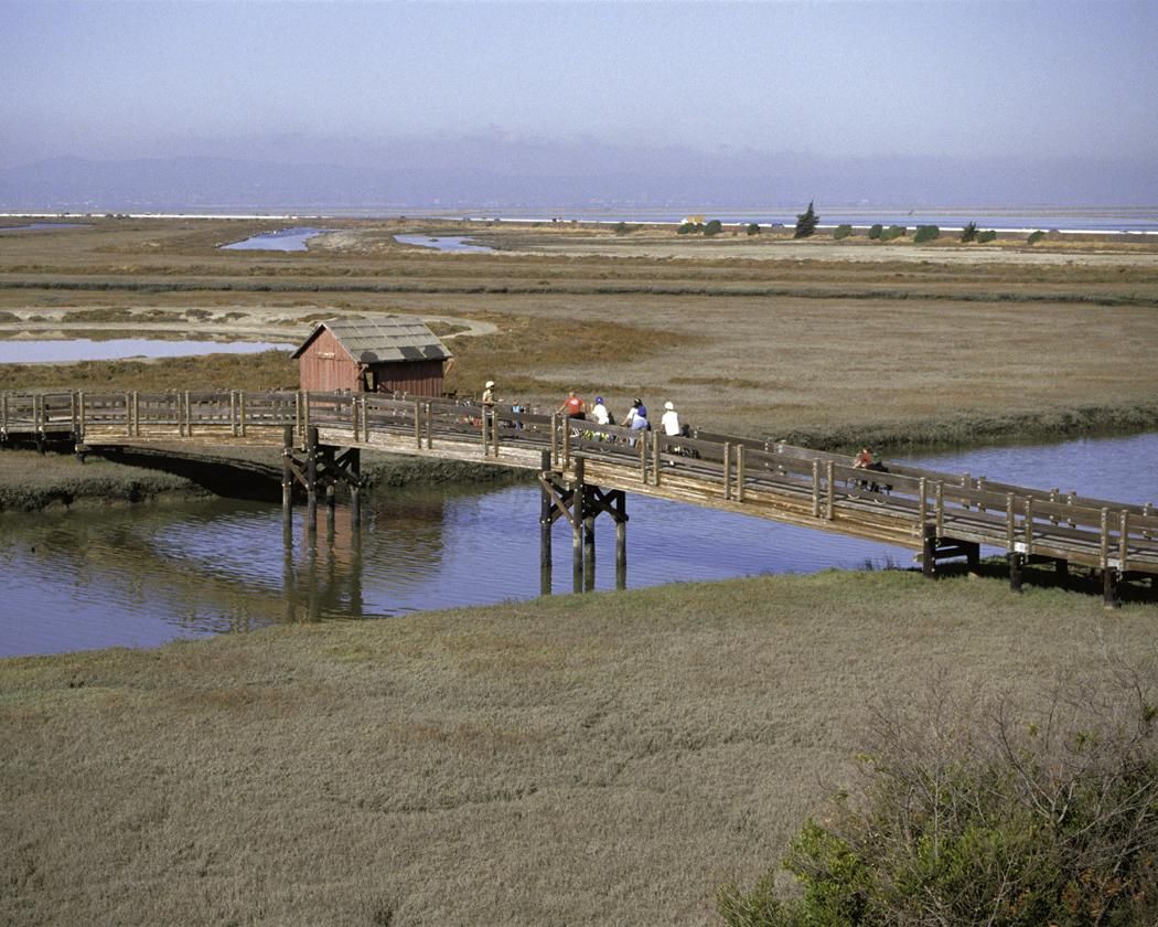 Visitor Center at Don Edwards San Francisco Bay National Wildlife Refuge