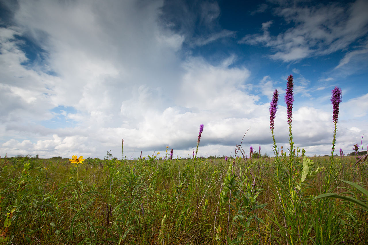 USFWS Midwest