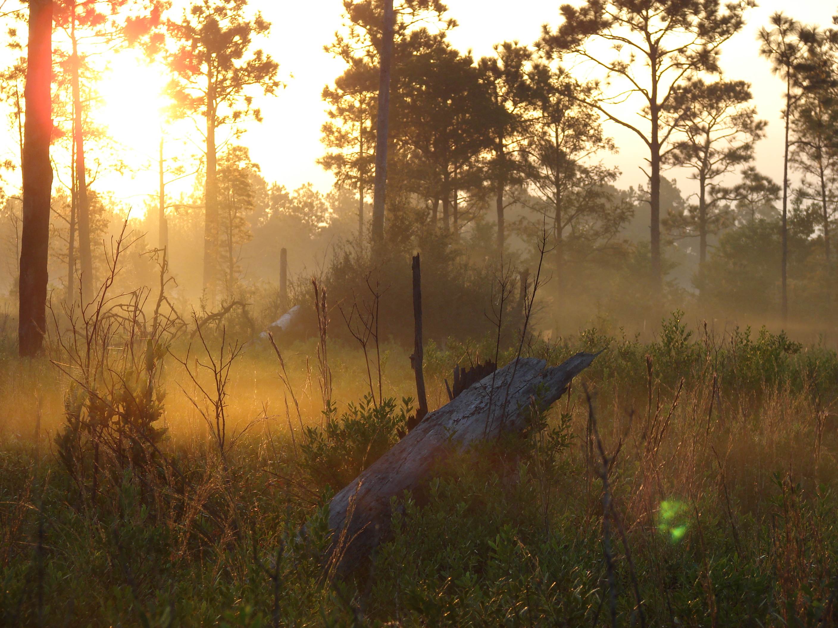 Sunrise at Grand Bay NERR/NWR